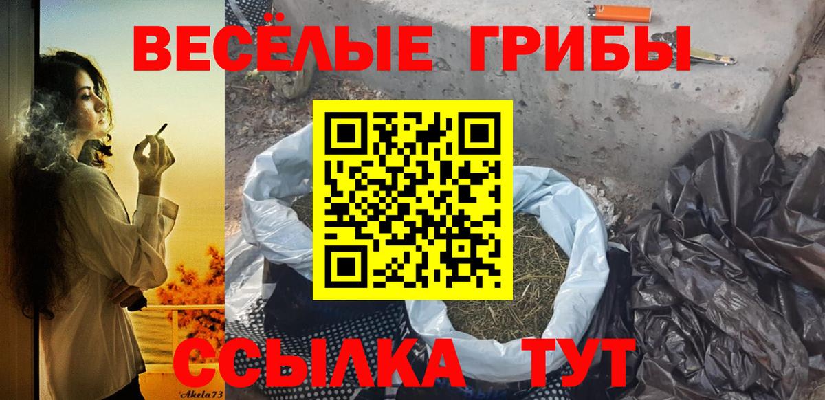 Псилоцибиновые грибы ЛСД  Вход с VPN  Подольск  Галлюциногенные грибы ЛСД 
